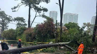 whatsapp-image-2026-01-10-at-153306