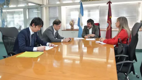 101938-japon-explora-oportunidades-de-inversion-minera-en-salta