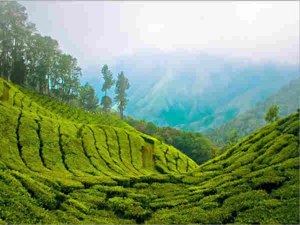 Viaje-por-India