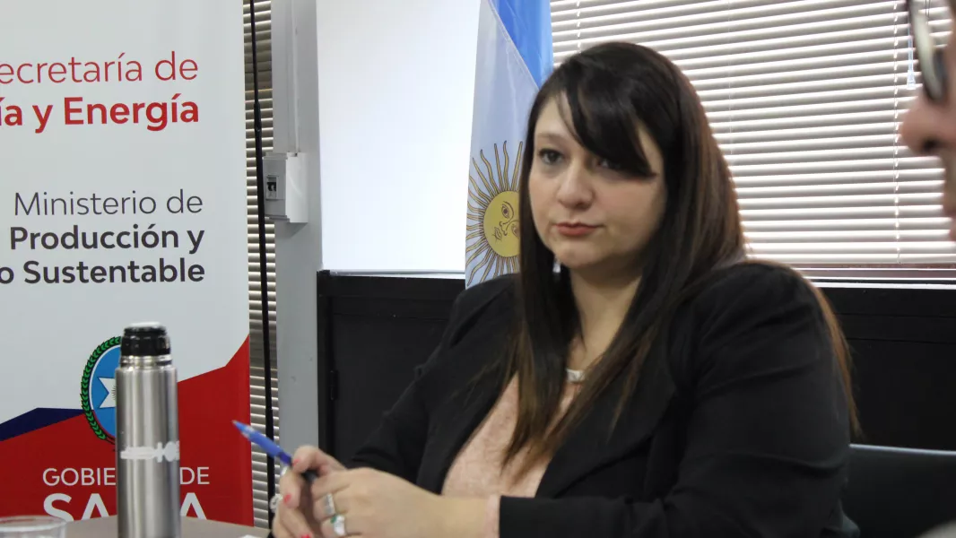 17808-el-gobierno-recibio-a-representantes-de-rio-tinto-rincon-mining-20250609105210