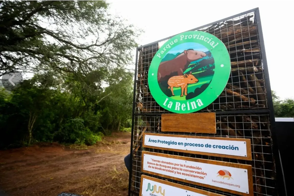 whatsapp-image-2025-06-02-at-145904jpeg