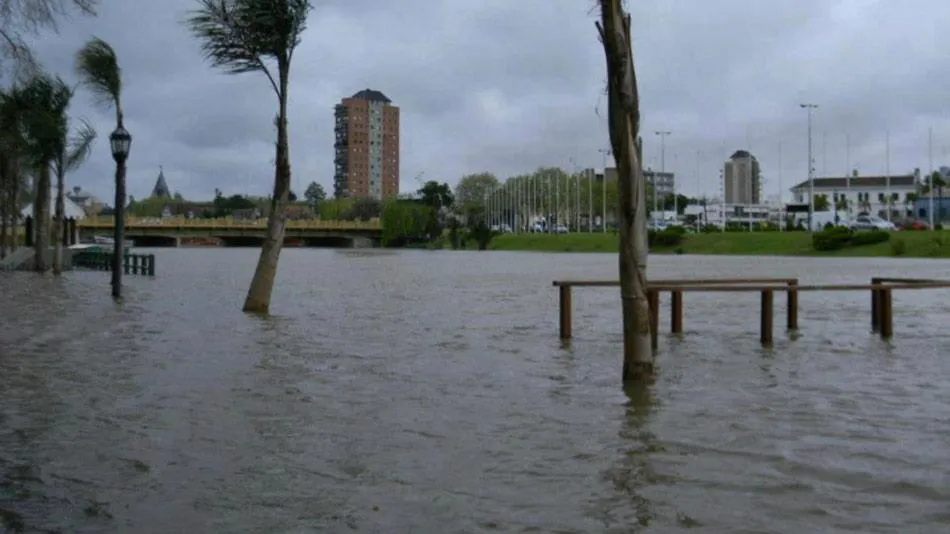 tigre-sudestada