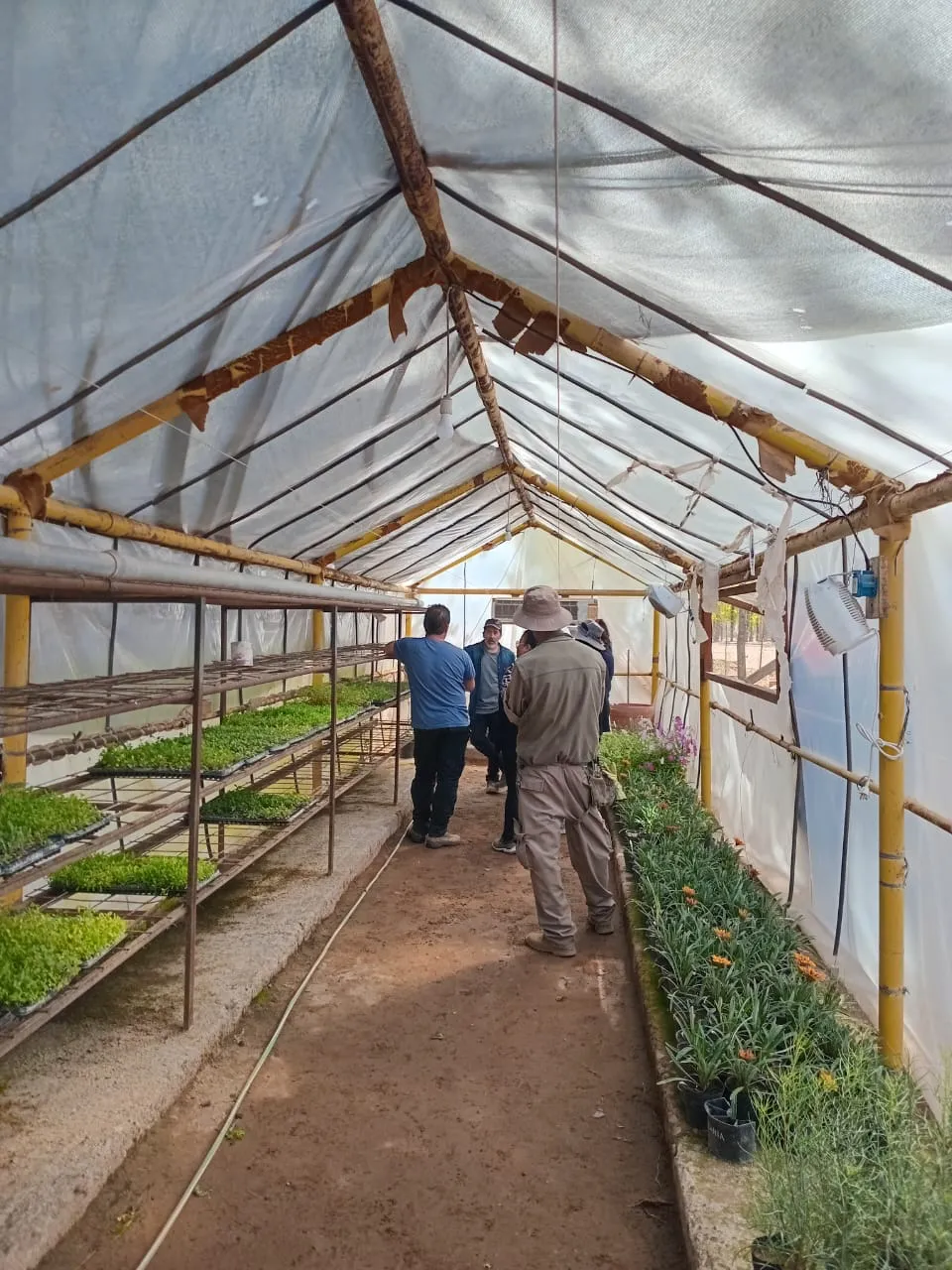 WhatsApp-Image-2025-10-31-at-8.56.09-AM-1