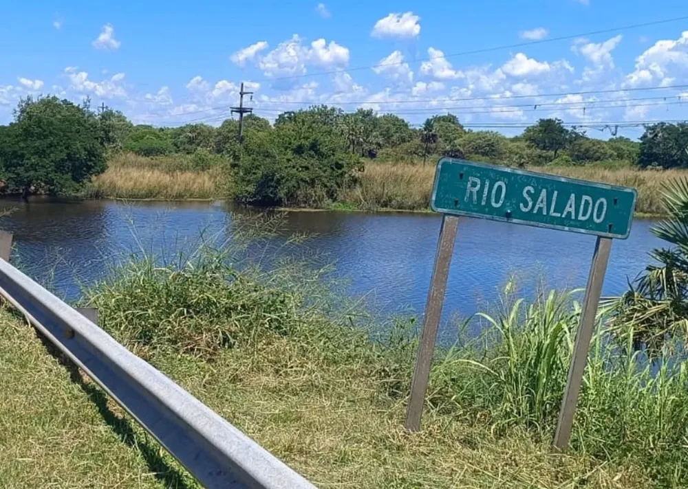 ff100c98-f6b4-49f7-9b7e-868b7d8fdab3-698367bec0889016281207