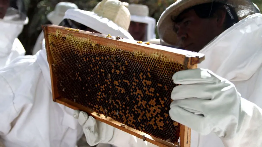 68712b488c5a7_992_558!