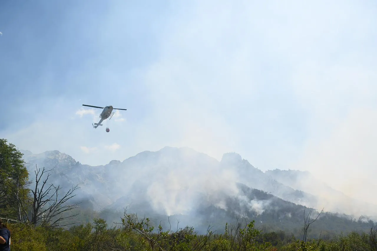 1770129980WhatsApp Image 2026-02-03 at 11.39.40 AM