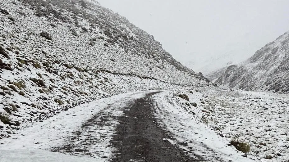 Temporal4-e1767958494983