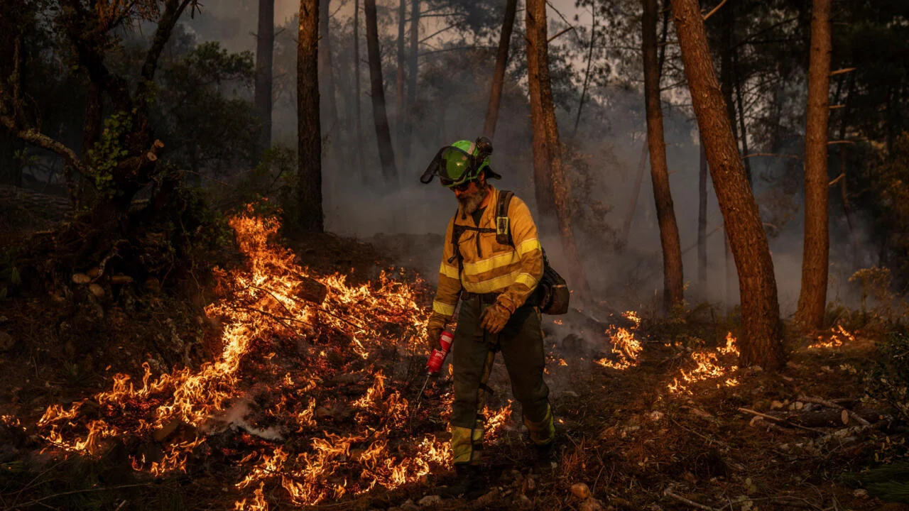 Imagen de archivo, incendios en España
