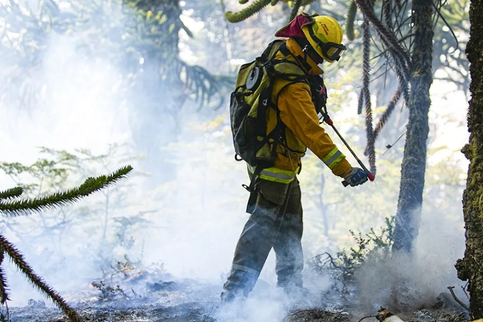 md - 2026-01-21T155215.384