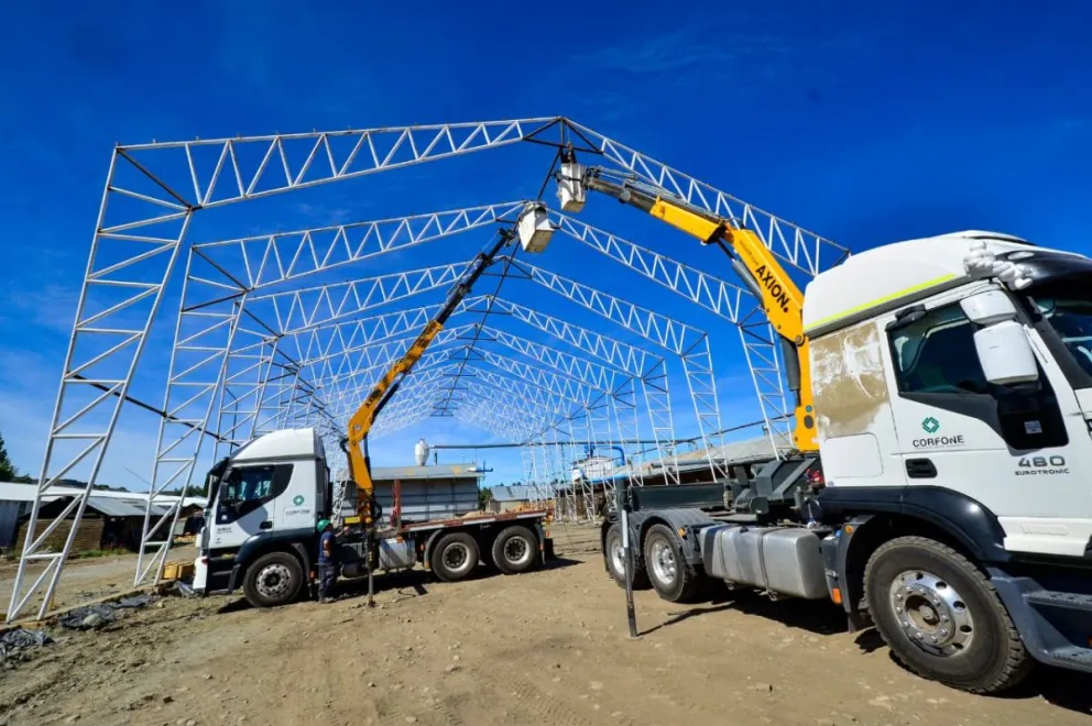 md - 2026-01-19T124037.543