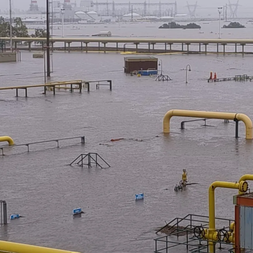 67cc7c175d100-horizontal-pieza-8-noticias-screen-and-max-width1024px_880_880!