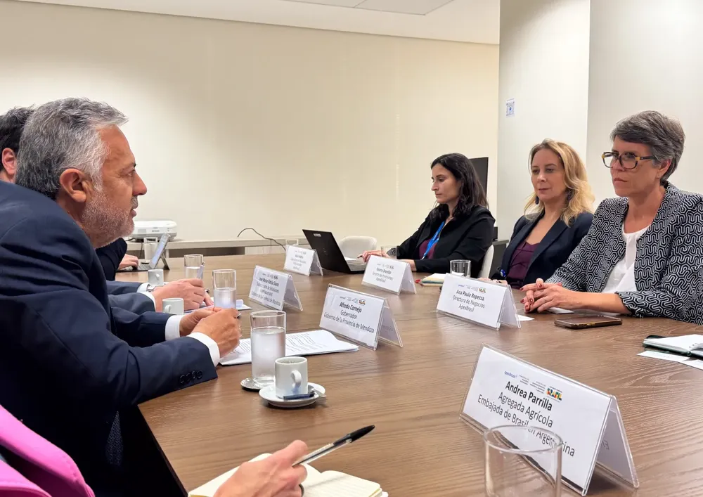 WhatsApp-Image-2025-07-01-at-16.09.33