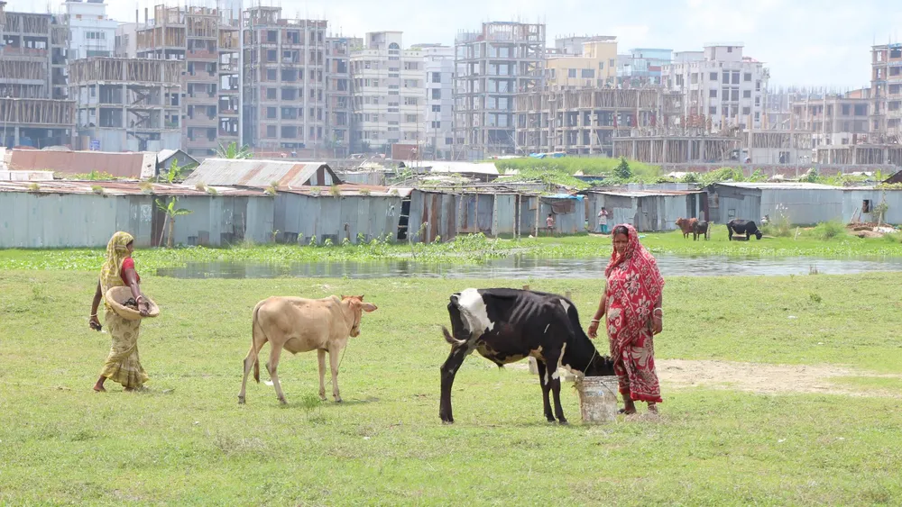 2013 Bangladesh - Thomas Loster (4)