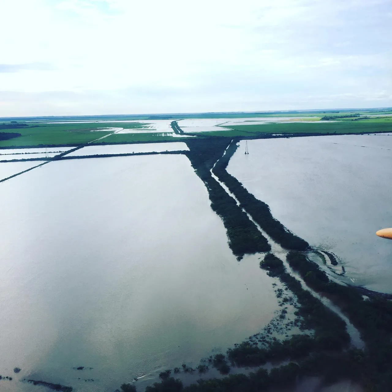 WhatsApp-Image-2019-01-16-at-12.50.28