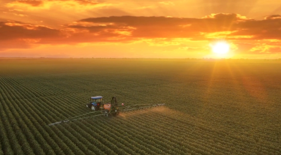 atome bid invest _0.png