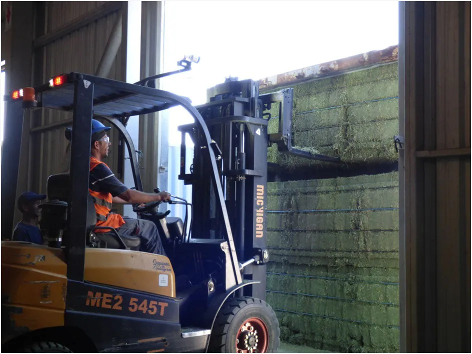 WhatsApp-Image-2026-01-19-at-10.16.13-1