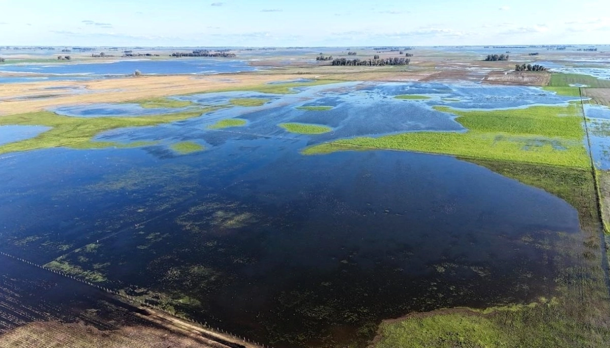 20251225112442_whatsapp-image-2025-12-25-at-11-21-59