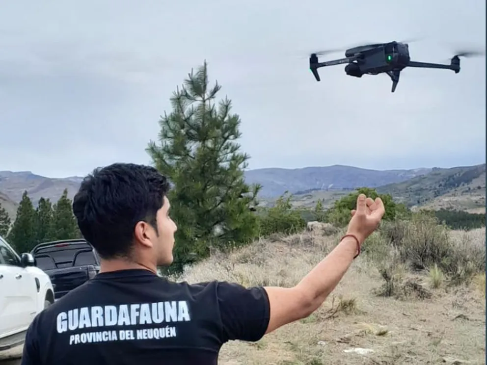 md - 2025-12-06T164702.375