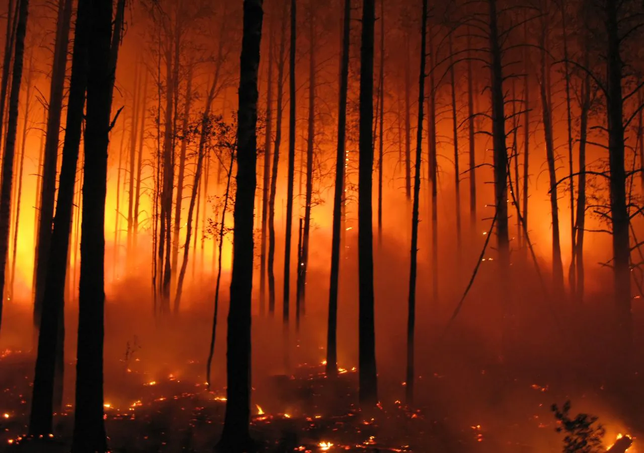 consecuencias-del-cambio-climatico-en-argentina-219461-3_1280