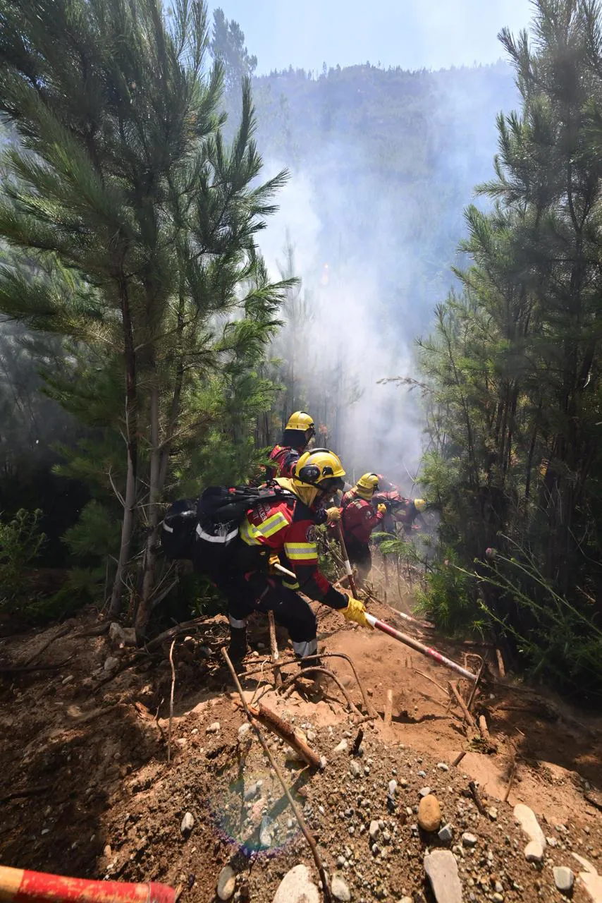 1769515197WhatsApp Image 2026-01-26 at 9.43.35 PM