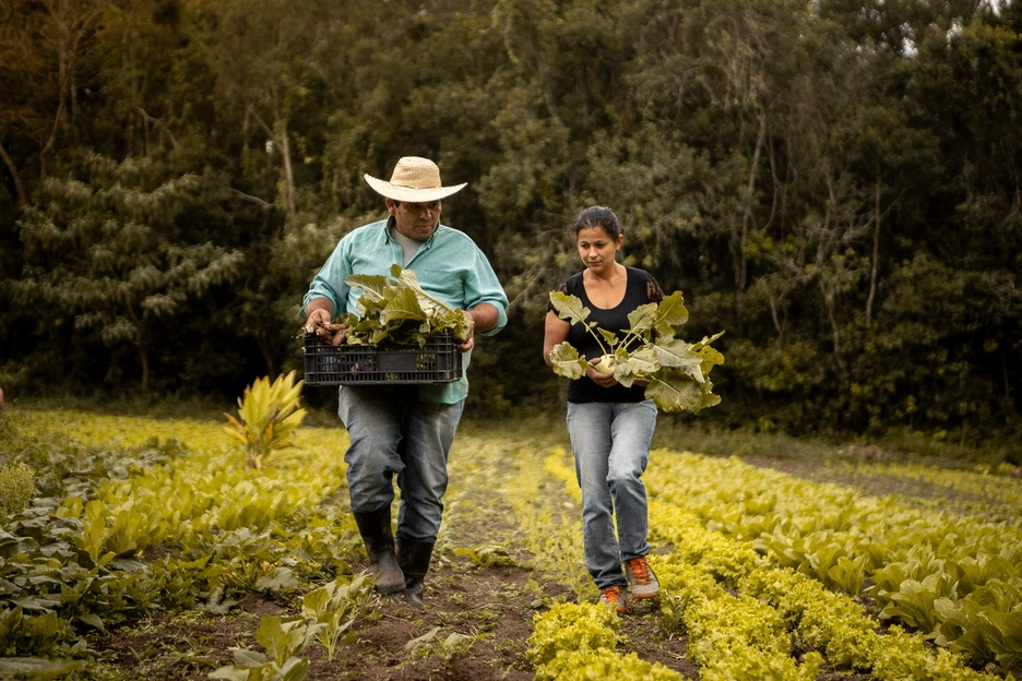 Brazil agriculture economy_Santander_IDB Invest_1.jpg