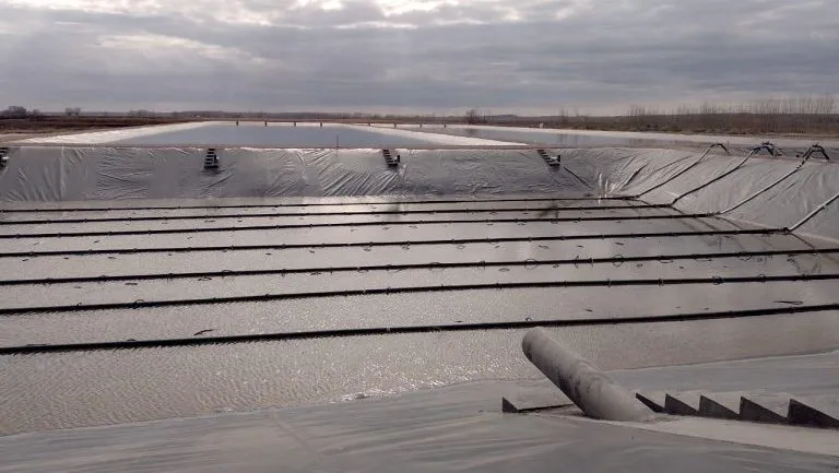 WhatsApp-Image-2024-08-19-at-09.59.54-768x540-1-e1768448759139