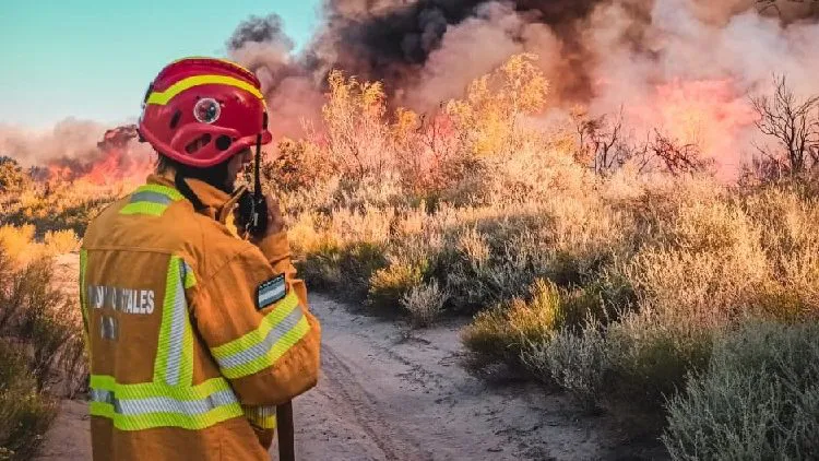 WhatsApp-Image-2026-01-14-at-9.33.01-AM-e1768402888827