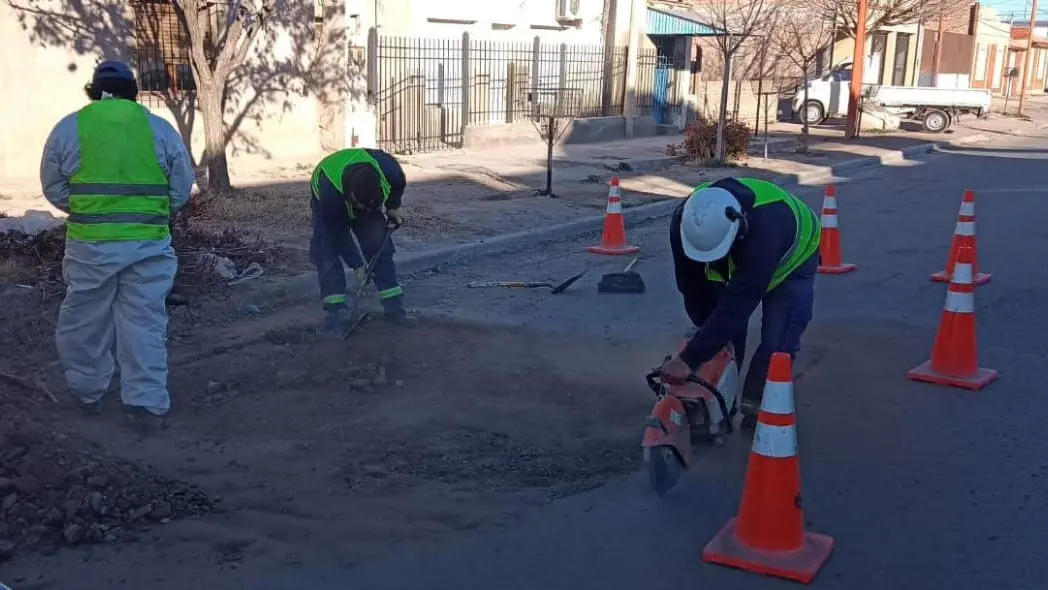 1752069513_426de65f1a3c332623bb