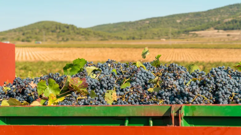 c07e32ab81ecacbddb700eaf4fe3c4f7_L