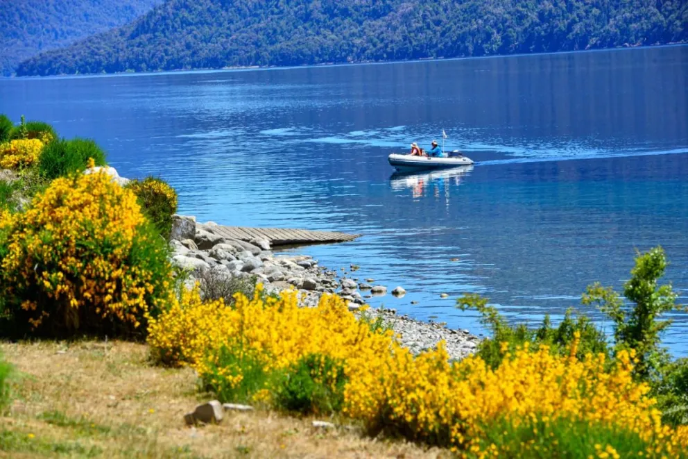 md - 2026-01-14T122846.267