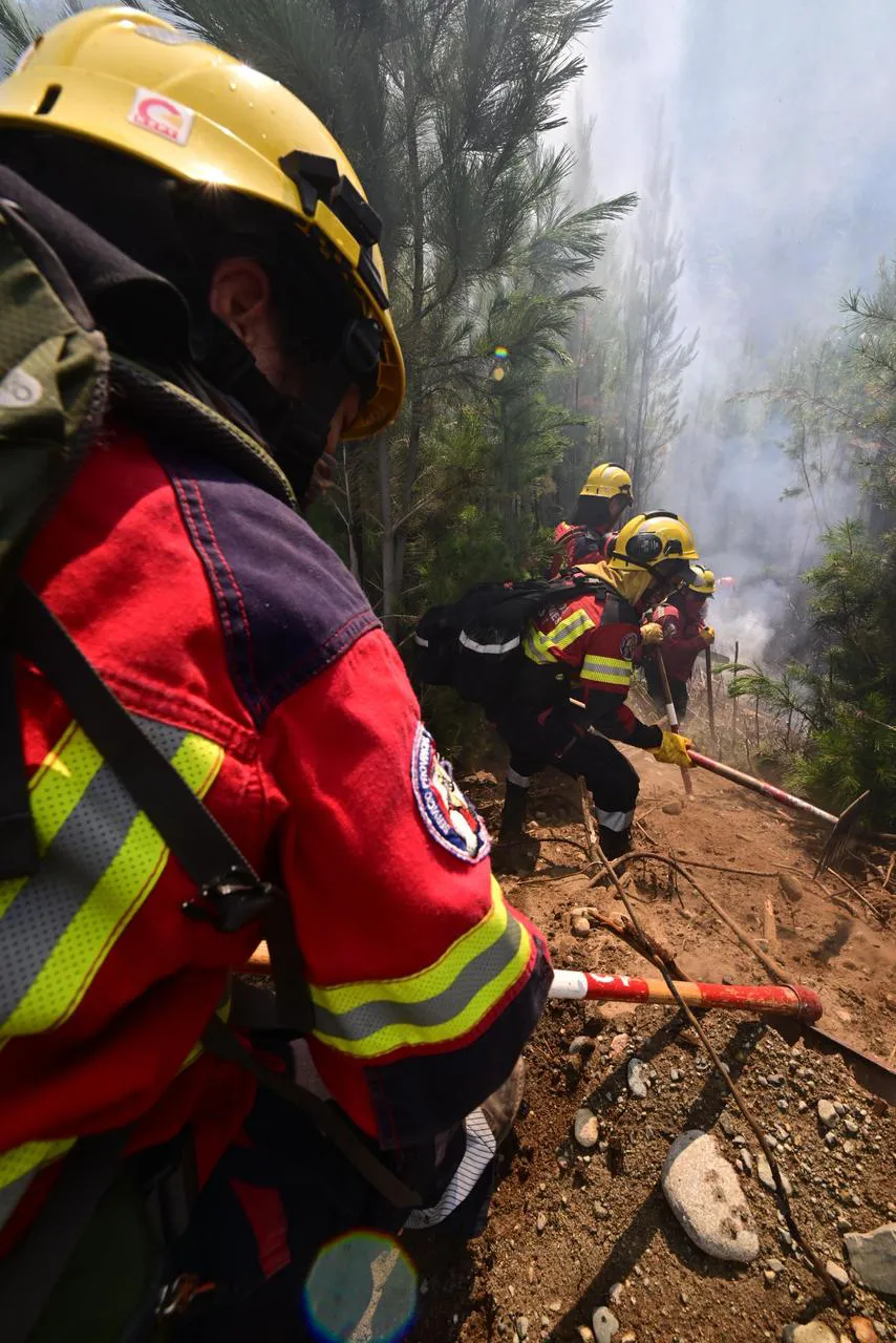 1769601979WhatsApp Image 2026-01-27 at 9.53.51 PM