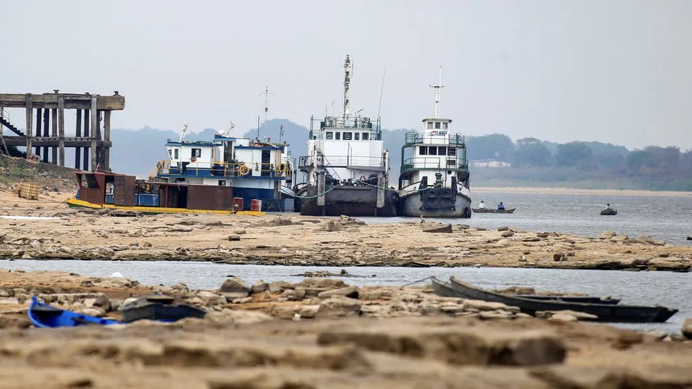 _114927194_a570dc54-642f-4a41-b6d3-be61c8333b4e