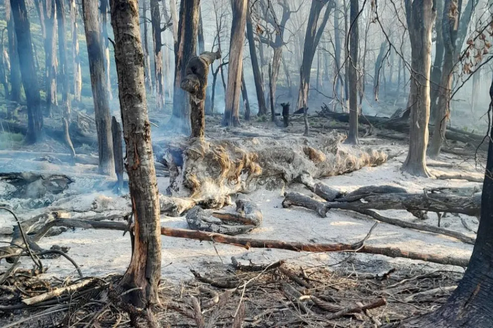 md - 2026-01-27T134841.413