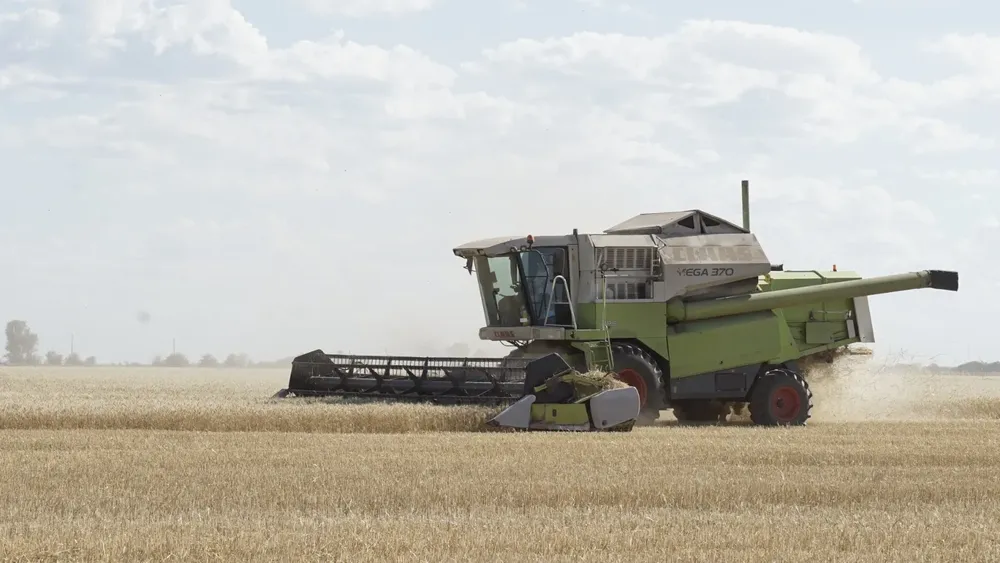 309489_img-20260117-wa0045