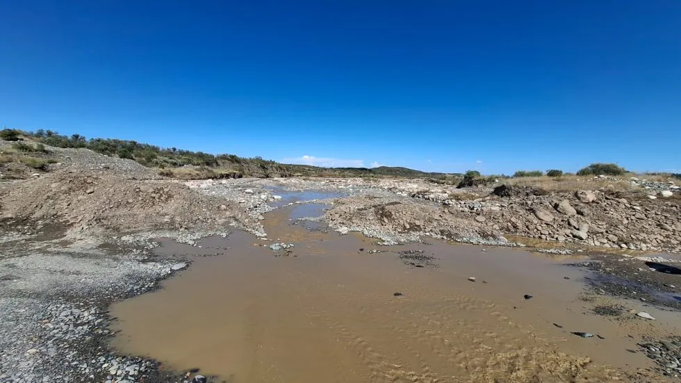 WhatsApp-Image-2026-01-30-at-10.14.42-1-980x551