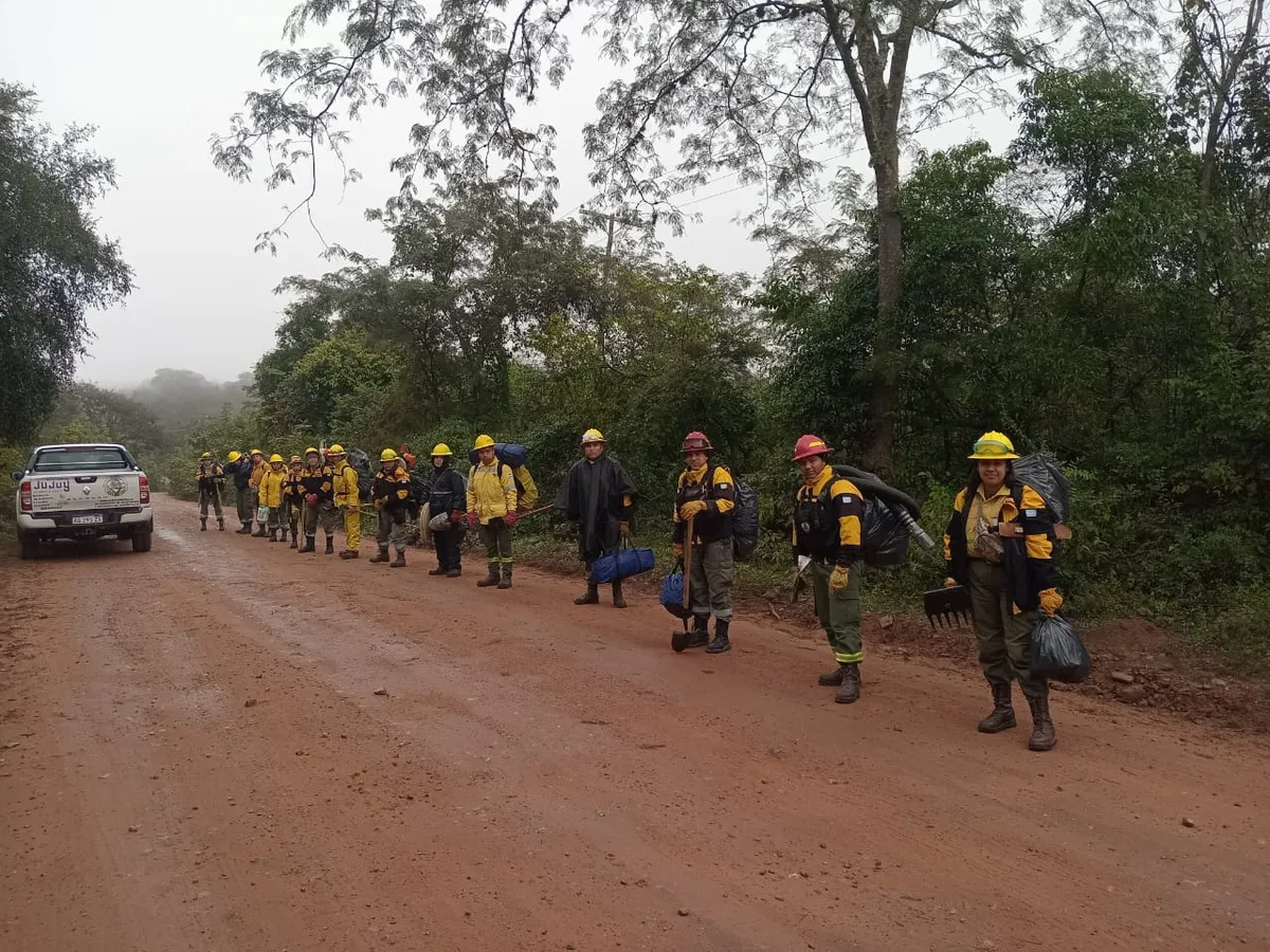 whatsapp-image-2025-06-23-at-083852jpeg