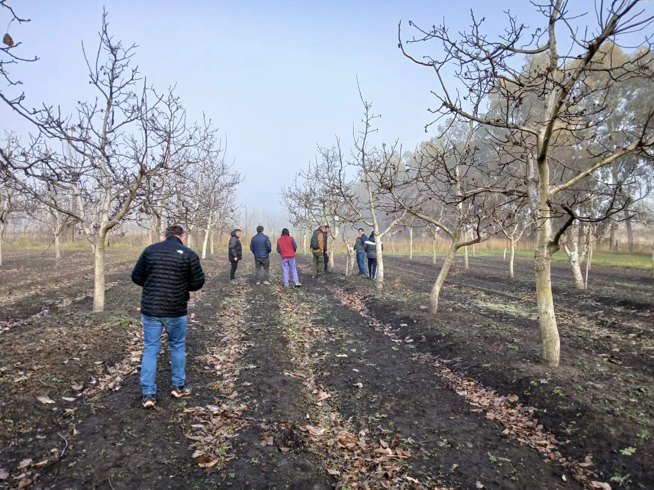 286715_img-20250719-wa0057