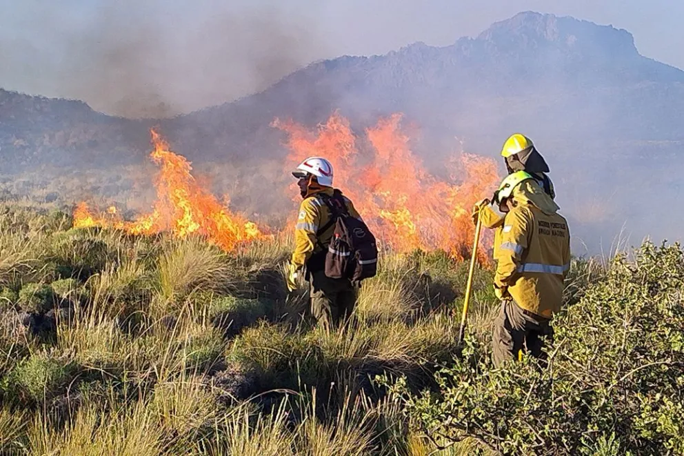 md - 2026-01-24T130757.264