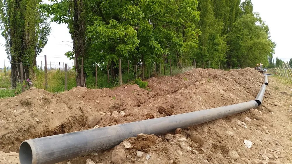 WhatsApp-Image-2026-01-07-at-13.10.15