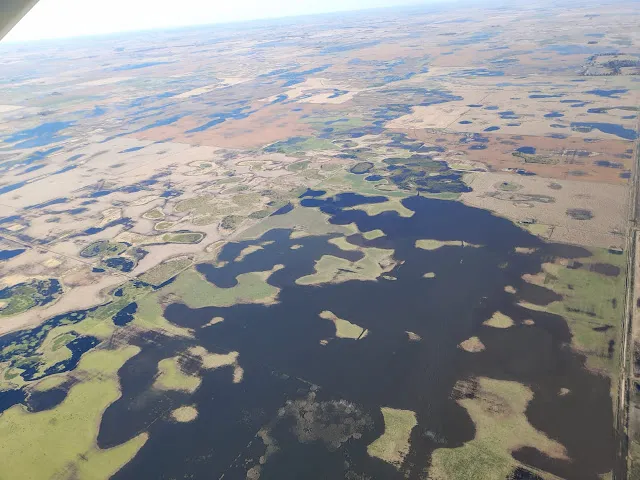 Pehuajo