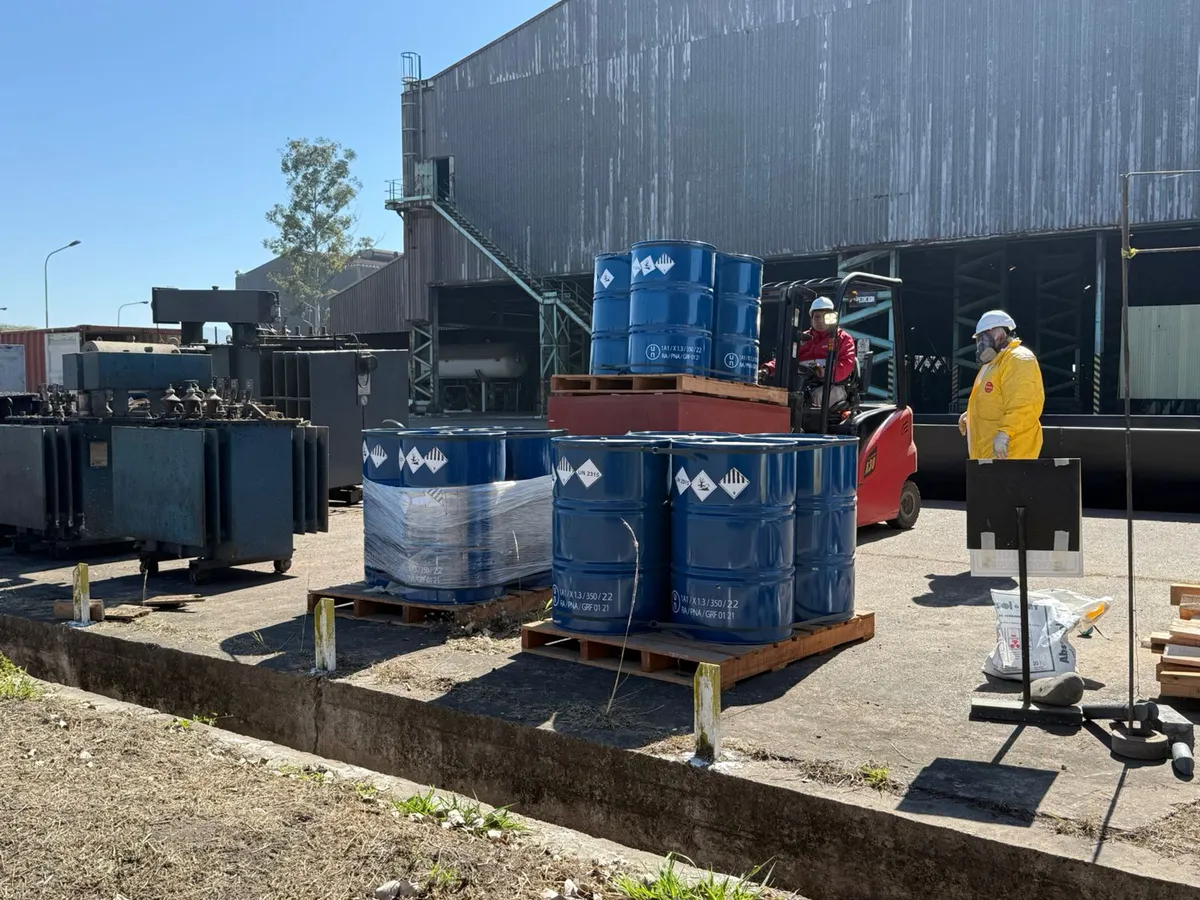 whatsapp-image-2025-07-25-at-122446