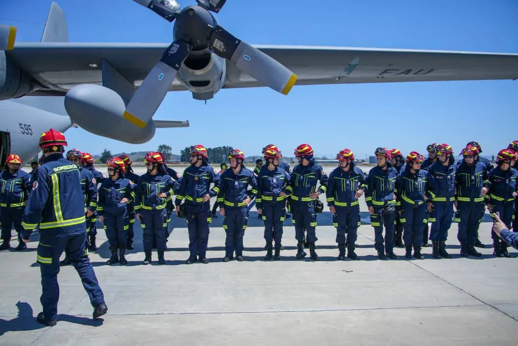 0541e764-d02b-42c5-84d7-f34732399ba2.jpg__1440x2000_q70_subsampling-2