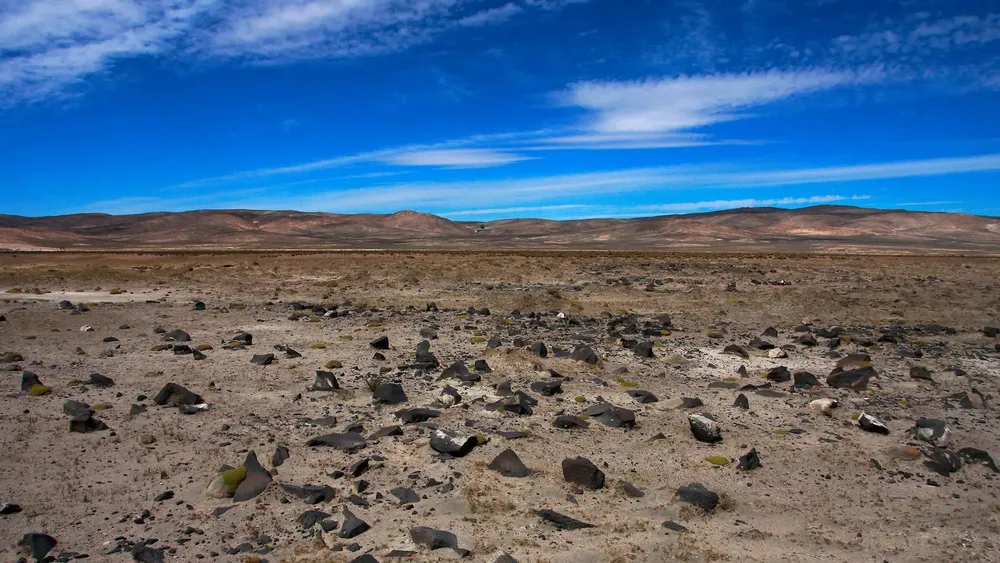 1769015653_1cd3060439f19ce51b7e