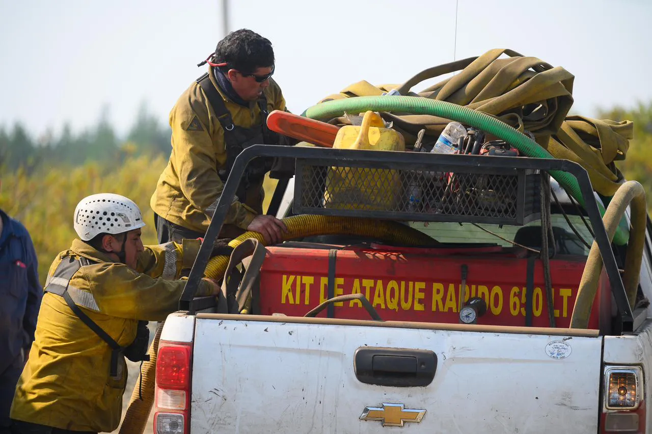 1770035310WhatsApp Image 2026-02-01 at 2.40.49 PM