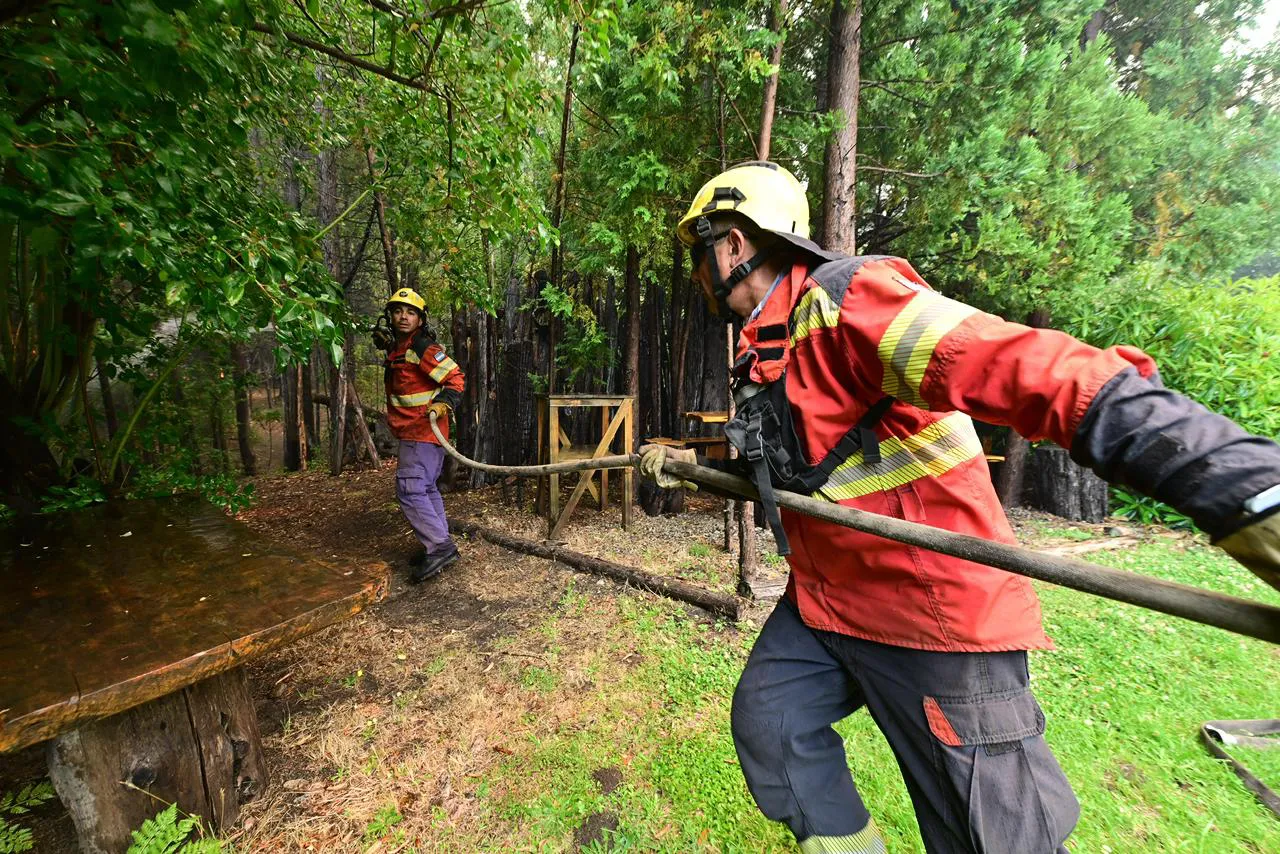 1770762506WhatsApp Image 2026-02-10 at 3.39.30 PM