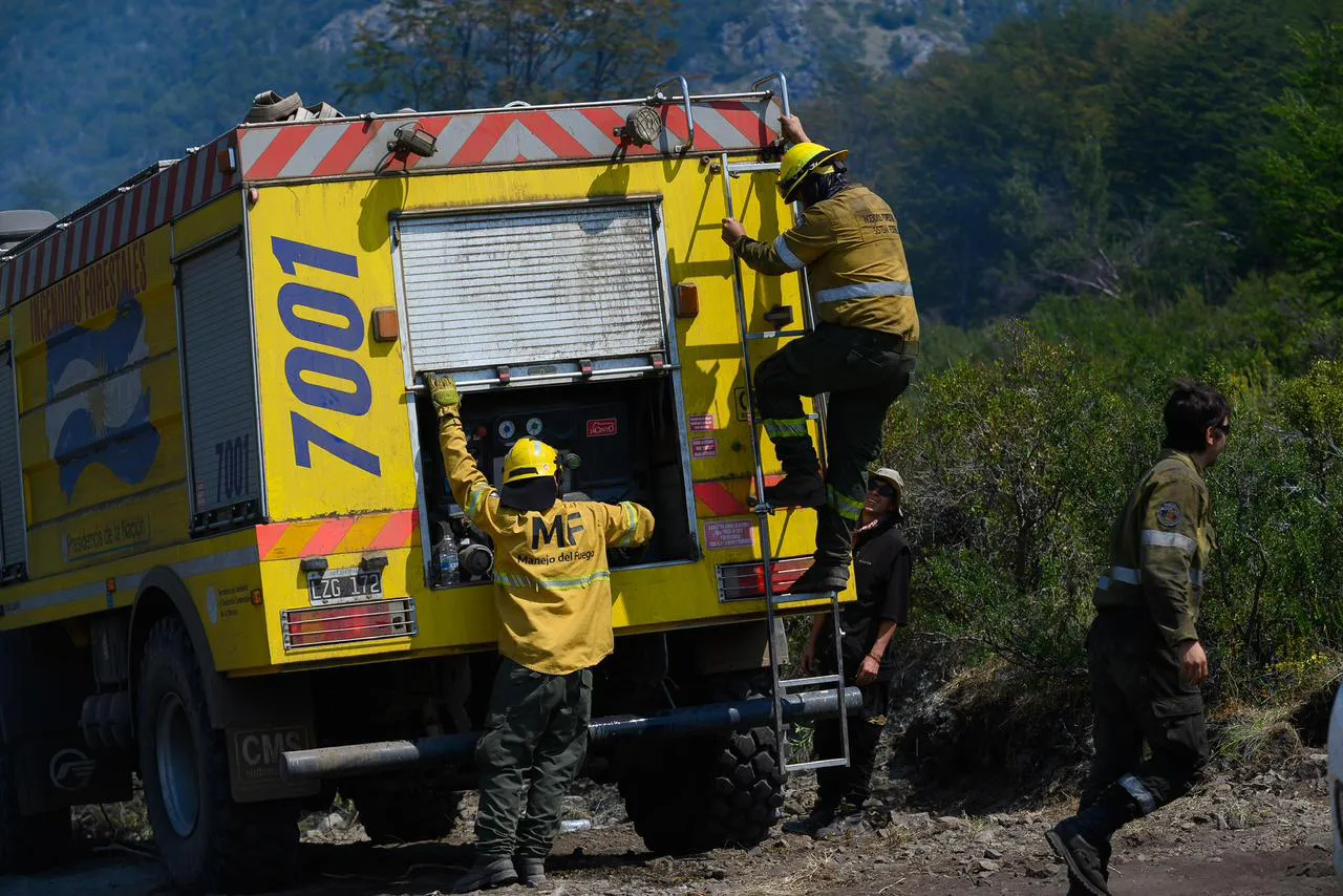 1771354139WhatsApp Image 2026-02-17 at 3.17.16 PM