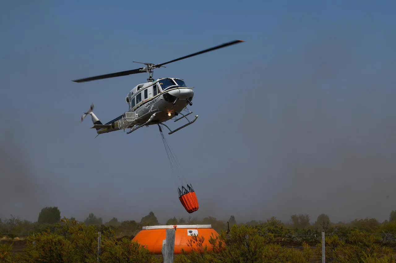 1770509945WhatsApp Image 2026-02-07 at 4.09.48 PM