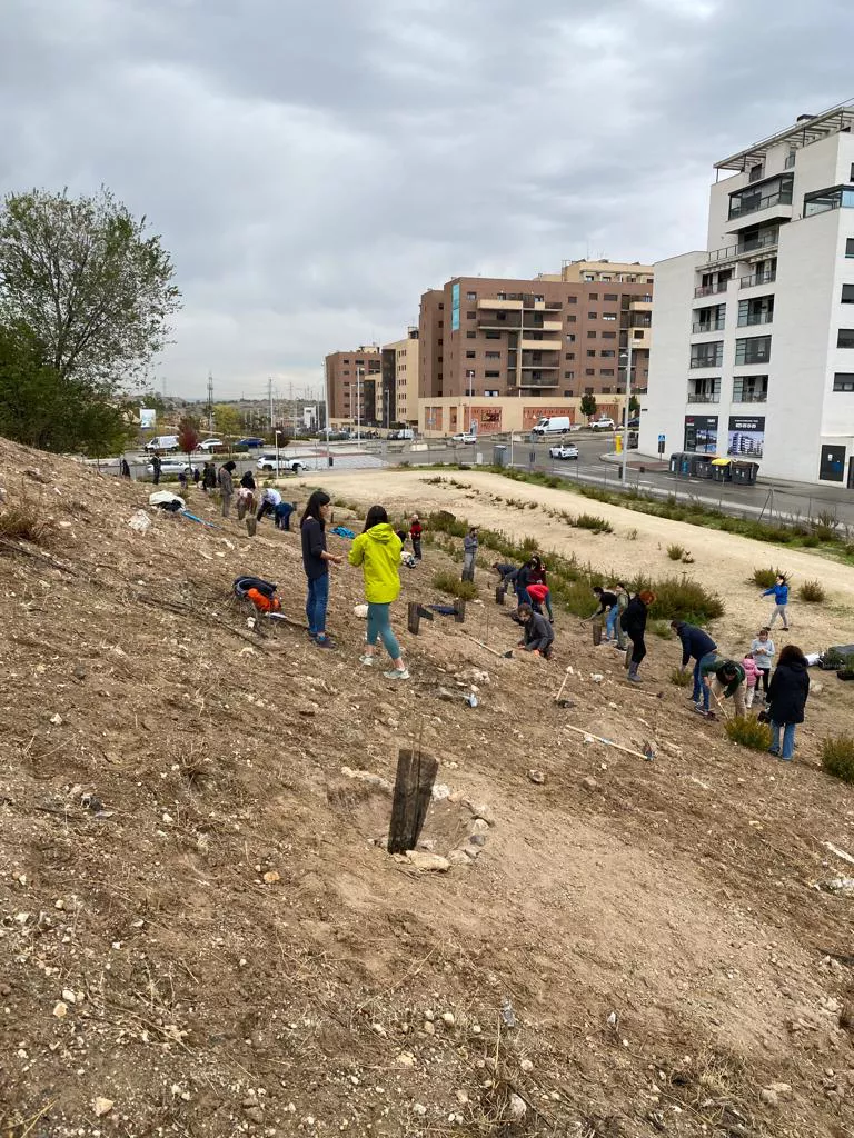 0a5ce209-a4ff-4847-bf58-034b263866f0