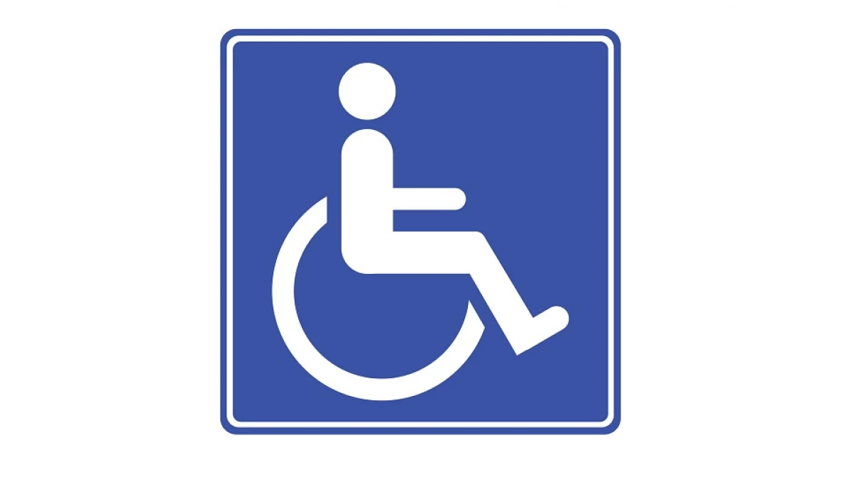 tipos-de-discapacidad-wide_webp