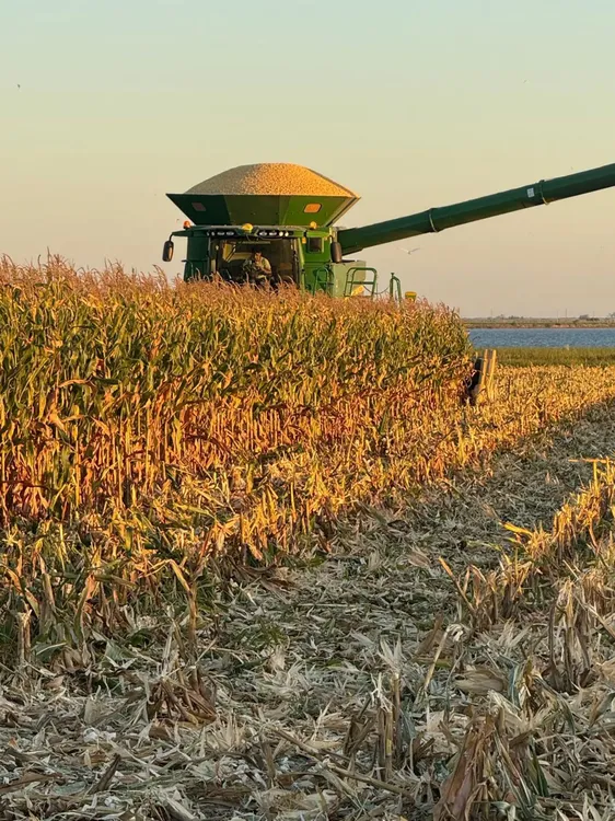 df1dbf1721da3ffd774e43baf12f31d72b541e73